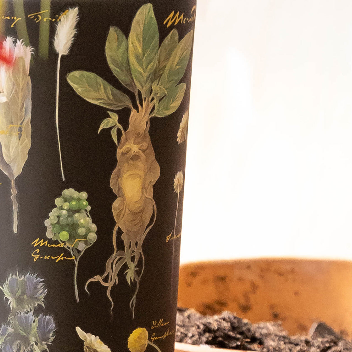harry-potter-cold-cup-g8 Herbology-3.jpg