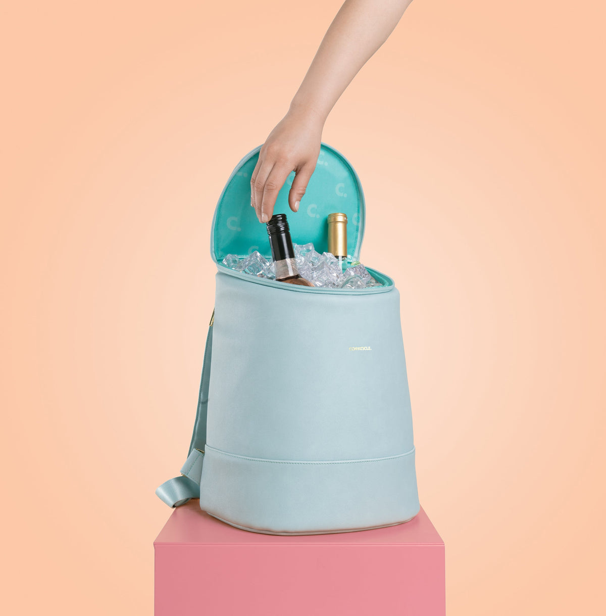 eola-bucket-cooler-bag-h2 a405954e83cf--EOLA-Bucket-copy.jpg